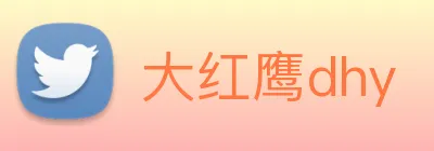 大红鹰dhy Logo